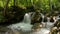 Forest mountain river with a rocky bottom. Beautiful nature, slow motion, forest waterfall, Bosnia