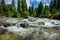 forest mountain river with waterfall over the rocks