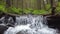 Forest mountain stream in the Ukrainian Carpathians