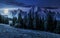 Forest in mountains with rocky peaks at night