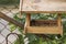 A forest mouse sits in the bird feeder and eats the food.