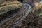 Forest muddy mud path off-road track