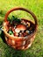 Forest Mushroom Basket