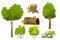 Forest nature elements landscape set with tree, stump, old trunk, bush, stone pile and moss in cartoon style isolated on