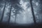 Forest, Navigating a Spooky Halloween Night in the Misty Foggy Forest Landscapes v1