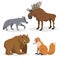 Forest North America and Europe animals set. Wolf, moose, bear and red fox. Happy smiling and cheerful characters. Vector zoo illu