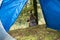 Forest Oasis: A Serene Moment of Reflection as a Brunette Woman Rests Outside her Tent