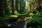 forest oasis with stream, surrounded by towering trees