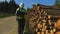 Forest officer checking the stack of logs