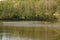 A forest with opposite a lake - France