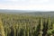 Forest overlook, Yellowstone National Park, Wyoming.