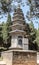 Forest pagodas Talin in the Shaolin Monastery.