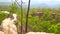 Forest in Pai canyon, Thailand