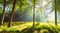 Forest panorama with bright sun shining through the trees