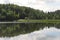 The forest panorama is reflected in a pond