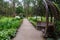 A forest park with large trees and creative benches and arches.