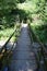 forest path bridge across UeÃŸbach