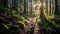 Forest path close-up among the fairy-tale forest. Exploration of forest wildlife. Ai Generative