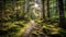 Forest path close-up among the fairy-tale forest. Exploration of forest wildlife. Ai Generative