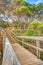 Forest path in Eden Australia