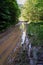 Forest path, forest, water, nature, impassability