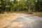 Forest path landscape. Forest dirty road view. Forest pathway landscape. stock photograph image