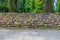 Forest path with old stone wall with moss and vegetation