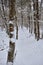 Forest path in the snow, Pieterpad route near Amersfoort. Walking and hiking snowy winter wonderland, the mark on the