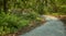 Forest pedestrian bridge on a path used to hike for leisure and fun purposes