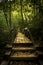 forest pedestrian bridge on a path used to hike for leisure and fun recreational purposes