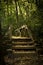 forest pedestrian bridge on a path used to hike for leisure and fun recreational purposes