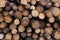 Forest pine trees in a log trunks pile ready for logging timber wood industry.