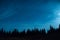 Forest of pine trees under moon and blue dark night sky