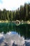 Forest, pines & sky reflected on lake