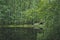 Forest pond with a Causeway and bridge 8334.