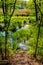 Forest pond in Czarna River nature reserve with wood thicket and grassy wild shores near Piaseczno town in