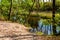 Forest pond in Czarna River nature reserve with wood thicket and grassy wild shores near Piaseczno town in