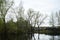 Forest pond on the edge of the village. Mighty trees on the banks of the river. Water surface. Cloudy sky. Wooden