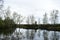 Forest pond on the edge of the village. Mighty trees on the banks of the river. Water surface. Cloudy sky. Wooden