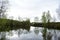 Forest pond on the edge of the village. Mighty trees on the banks of the river. Water surface. Cloudy sky. Wooden