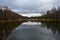 A forest pond surrounded by a birch grove and weeping willows. Cloudy sky. The branches of the trees bent