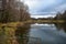 A forest pond surrounded by a birch grove and weeping willows. Cloudy sky. The branches of the trees bent