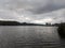 Forest pond surrounded by reeds and trees under cloudy sky