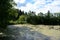 Forest pond. The trees bent their branches over the water. There are clouds in the sky. House on the river