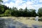 Forest pond. The trees bent their branches over the water. There are clouds in the sky. House on the river