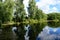 Forest pond. The trees bent their branches over the water. There are clouds in the sky. The sky, clouds, trees, bushes, herbs are