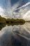 Forest Ponds Symmetry