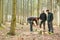 Forest ranger checking wood quality of tree