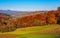 Forest with red foliage on hills in countryside