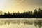 Forest reflected on lake